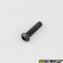 Screw 6x25 mm BTR rounded head class 10.9 black (individually)