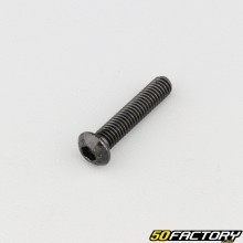 Screw 6x30 mm BTR rounded head class 10.9 black (individually)