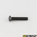 6x30 mm screw BTR rounded head class 10.9 black (individually)