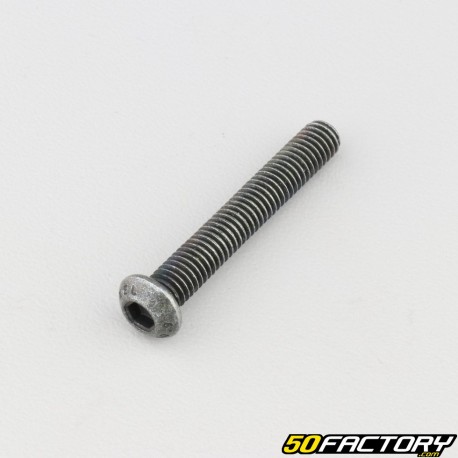6x40 mm screw BTR rounded head class 10.9 black (individually)