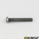 6x40 mm screw BTR rounded head class 10.9 black (individually)