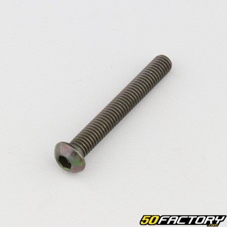 Vite 6x45 mm BTR testa arrotondata classe 10.9 nera (singolarmente)