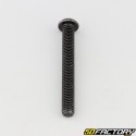 6x50 mm screw BTR rounded head class 10.9 black (individually)