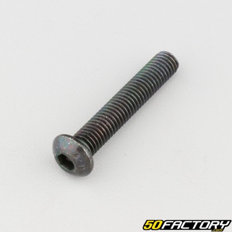 8x45 mm screw BTR rounded head class 10.9 black (individually)
