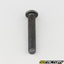 8x45 mm screw BTR rounded head class 10.9 black (individually)