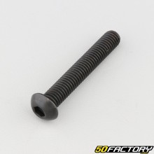 Screw 8x50 mm BTR rounded head class 10.9 black (individually)