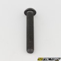 8x50 mm screw BTR rounded head class 10.9 black (individually)