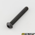 8x55 mm screw BTR rounded head class 10.9 black (individually)