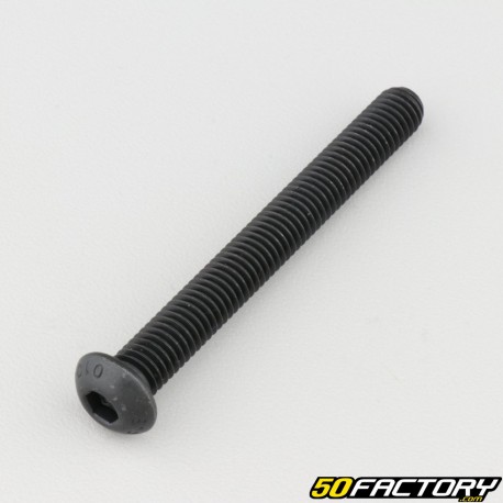 8x70 mm screw BTR rounded head class 10.9 black (individually)