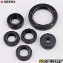 Kawasaki KX 1000,000 T engine oil seals (2000 - 2000) Athena