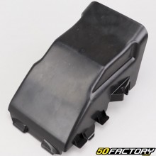 Radiator cover Peugeot Jet Force 50 2T