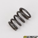 Fork dip tube spring Peugeot Vivacity 1 and 2