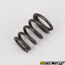 Fork dip tube spring Peugeot Vivacity  XNUMX and XNUMX