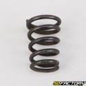 Fork dip tube spring Peugeot Vivacity 1 and 2