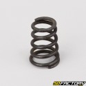 Fork dip tube spring Peugeot Vivacity 1 and 2