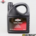 Aceite de motor XNUMXT SAE XNUMX Briggs-Stratton Motocultura XNUMXL