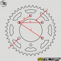 Couronne 67 dents alu 219 karting Righetti Ridolfi noire