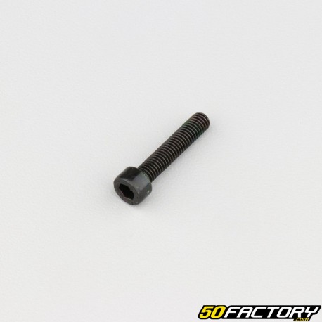 Screw 5x25 mm BTR head class 8.8 black (individually)