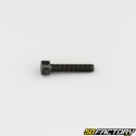 Screw 5x25 mm BTR head class 8.8 black (individually)