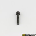 Screw 5x25 mm BTR head class 8.8 black (individually)