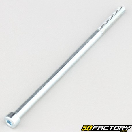 Tornillo de 5x100 mm cabeza BTR rosca parcial clase 8.8xXNUMX (por unidad)