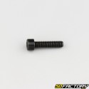 Screw 6x25 mm BTR head class 8.8 black (individually)