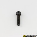 Screw 6x25 mm BTR head class 8.8 black (individually)