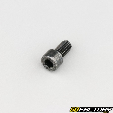 Screw 8x16 mm BTR head class 8.8 black (individually)