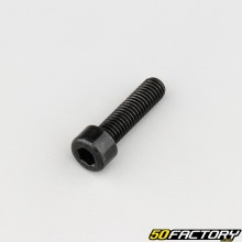 Screw 8x30 mm BTR head class 8.8 black (individually)