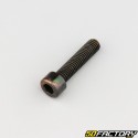 Tornillo 8x35 mm cabeza BTR clase 8.8 negro (individualmente)