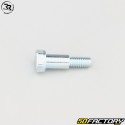 Tornillos de disco de freno trasero flotante Righetti Ridolfi karting (juego de 2)