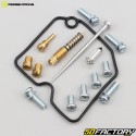 Kit di riparazione carburatore artico Cat H1,TRV 650 ... (2006 - 2009) Moose Racing