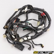 Wiring harness MBK Ovetto et Yamaha  Neo&#39;s XNUMX XNUMXT (from XNUMX)