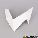 Cache avant gauche Aprilia RS 50 (2006 - 2010) blanc