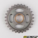 Kickstarter sprocket KTM EXC, SX... 125, 200 (2004 - 2016)