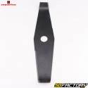 Brush cutter blade for brambles 2 teeth Ø300 mm (bore 25.4 mm, thickness 3 mm) Sopartex