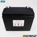 Batterie Landport LTX20-4 SLA 12V 18Ah acide sans entretien Arctic Cat Bearcat, F8, Crossfire...