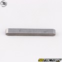 Flachschlüssel für Welle 8x6x60 mm Kart Righetti Ridolfi