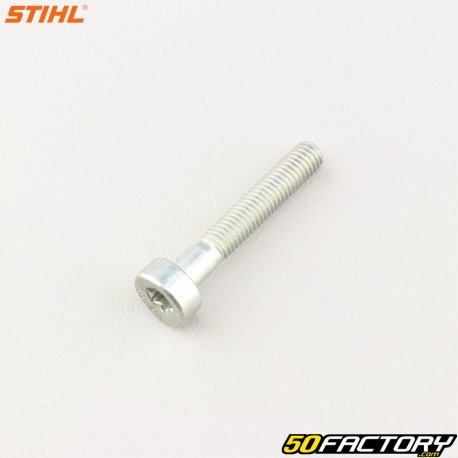 Vite cilindrica Ø5x30 mm testa torx Stihl (singolarmente)