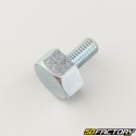 Brushcutter head screw Ø8x16 mm 1.25 (left hand thread)