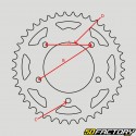 Corona 56 denti acciaio 428 Sherco SM-R 50 (da 2018) nera