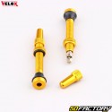 Presta 44 mm tubeless tire valves for bike Vélox gold (set of 2)