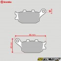 Honda PanthÃ © on sintered metal rear brake pads, Archive...Brembo