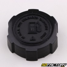 Bouchon de réservoir d'essence Ø44 mm Briggs-Stratton Quantum, Europa, Max