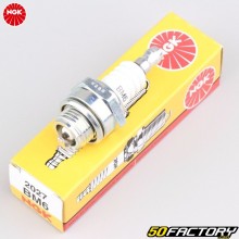 Spark plug NGK BM6