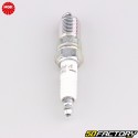 Spark plug NGK TR5