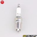 Spark plug NGK TR5