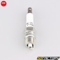 Spark plug NGK  URXNUMX