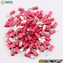 Insulated male flat terminals 0.8x4.8 mm WKK red (pack of 100)