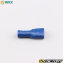 Flachsteckhülsen voll isoliert 0.8x6.4 mm WKK blau (100er Packung)
